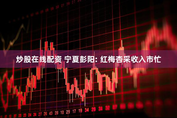 炒股在线配资 宁夏彭阳: 红梅杏采收入市忙
