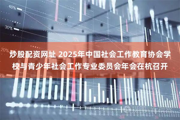 炒股配资网址 2025年中国社会工作教育协会学校与青少年社会工作专业委员会年会在杭召开